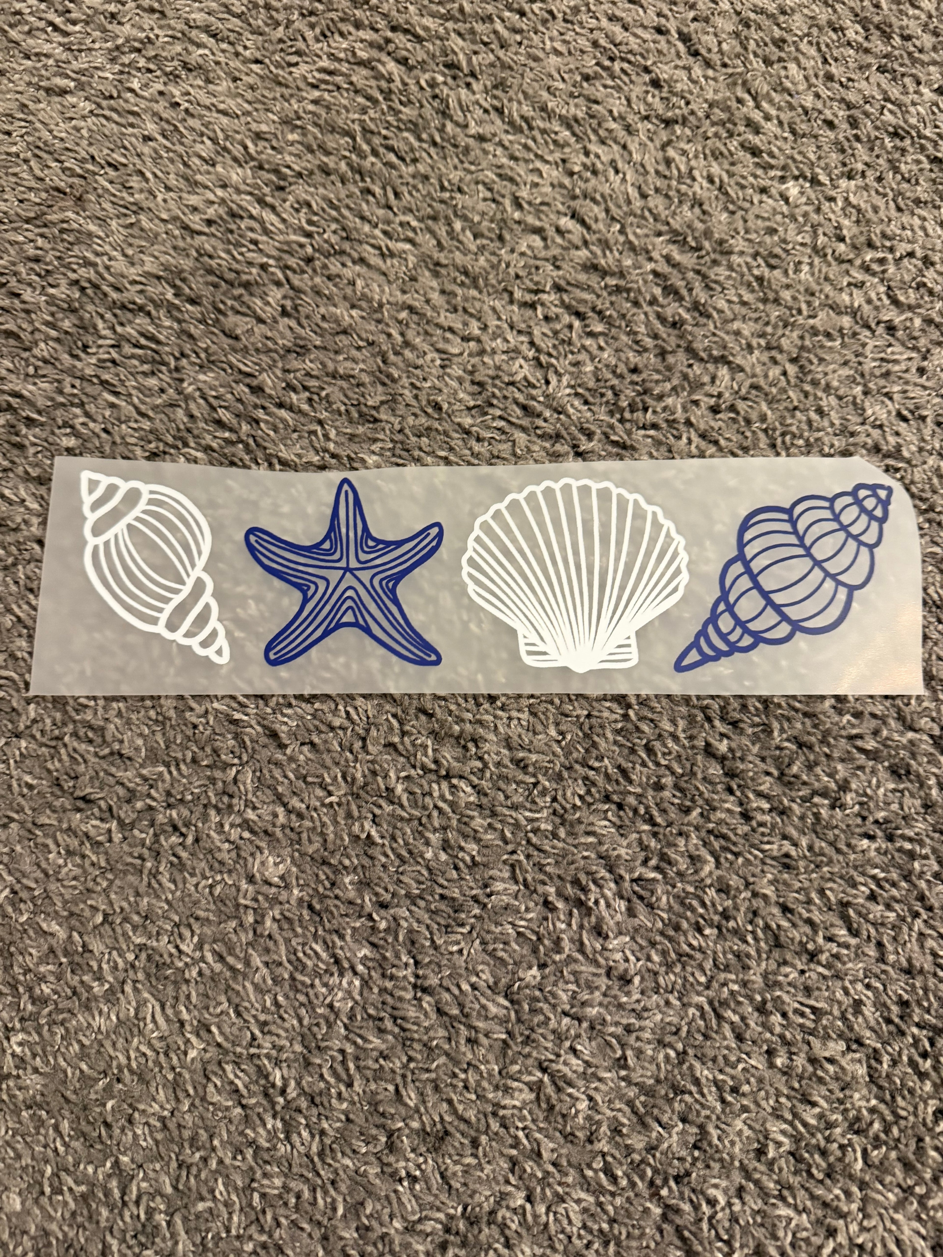 Seashells