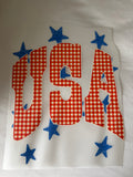 USA Gingham Retro Stars